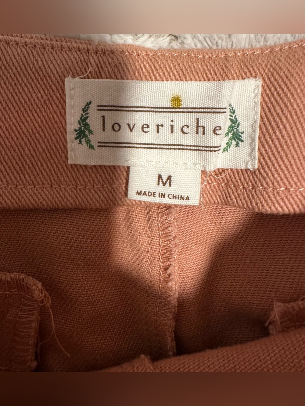 Love Riche High-Waist Button Front Shorts in Terracotta - Picture 6 of 9